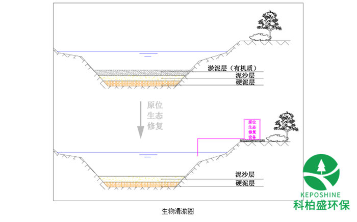 CA88(�й���)Ψһ�ٷ���վ