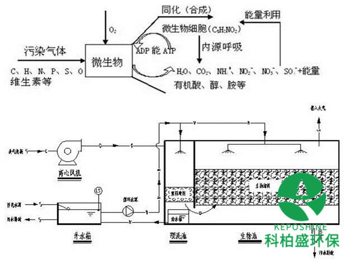 CA88(�й���)Ψһ�ٷ���վ