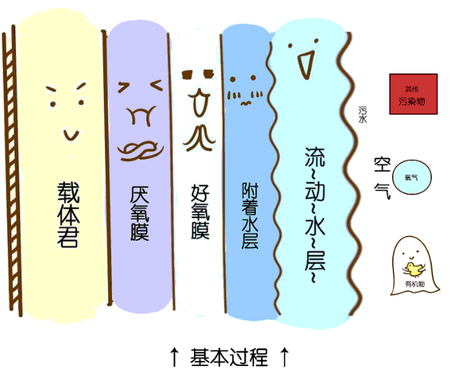 CA88(�й���)Ψһ�ٷ���վ